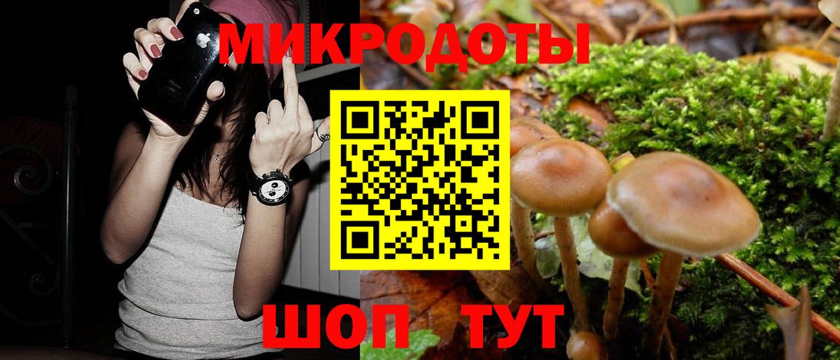 Белая Калитва  Галлюциногенные грибы ЛСД  даркнет сайт  Вход с VPN  Галлюциногенные грибы Psilocybe 